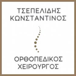 ΤΣΕΠΕΛΙΔΗΣ ΚΩΝΣΤΑΝΤΙΝΟΣ