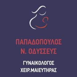 ΠΑΠΑΔΟΠΟΥΛΟΣ Ν. ΟΔΥΣΣΕΥΣ MSc